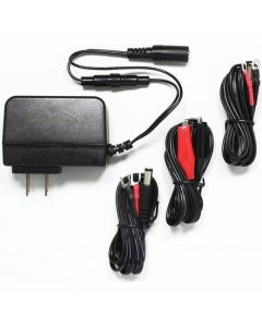 Bright Way Group 5206 12V Dual Stage Charger