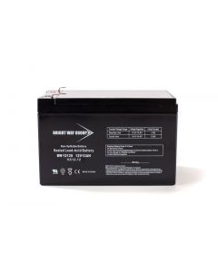 Bright Way Group BW 12120 F2 Sealed Lead Acid Battery F2 Terminals 12V 12AH